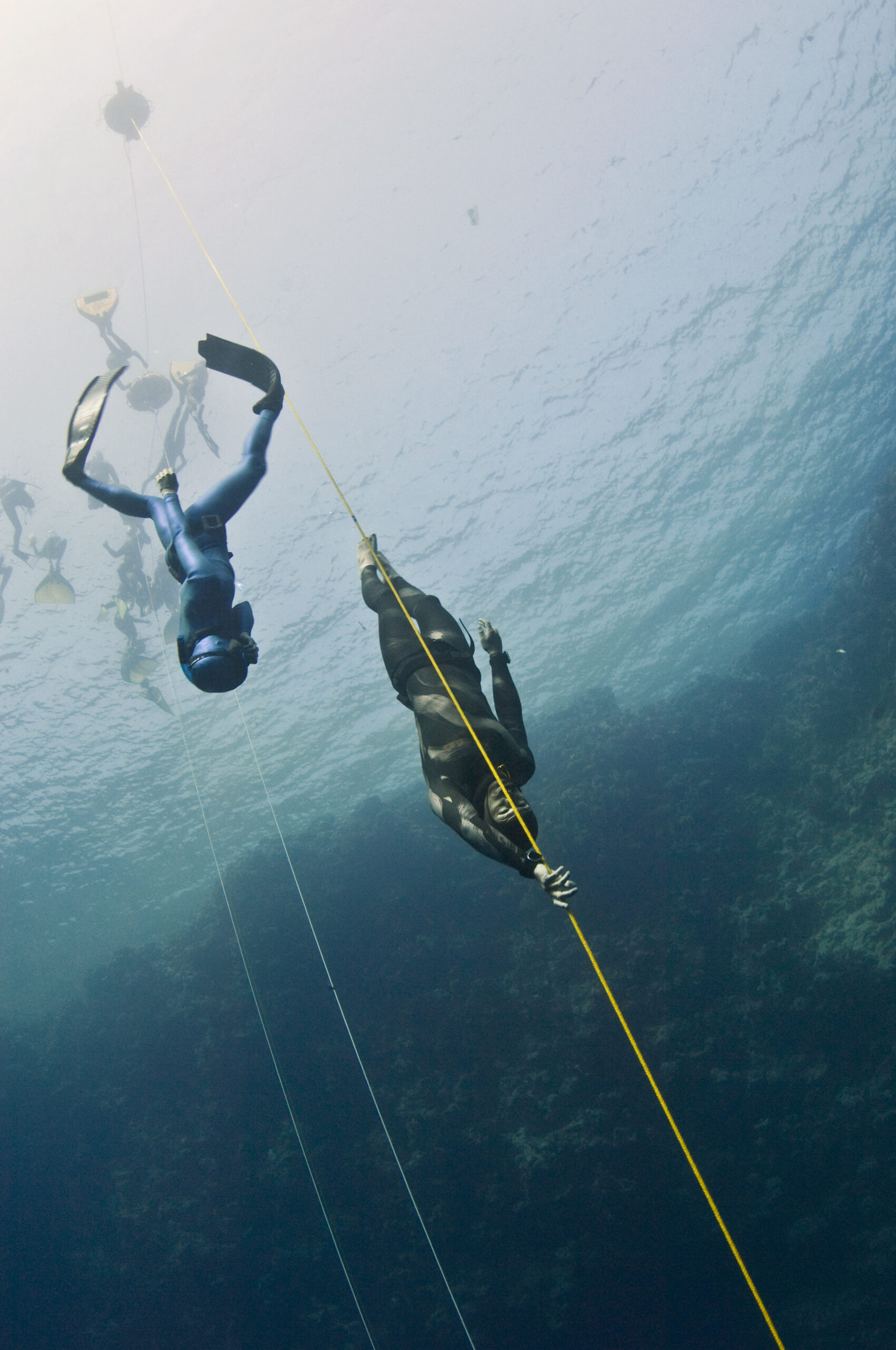 Sport Freediving Instructor Course