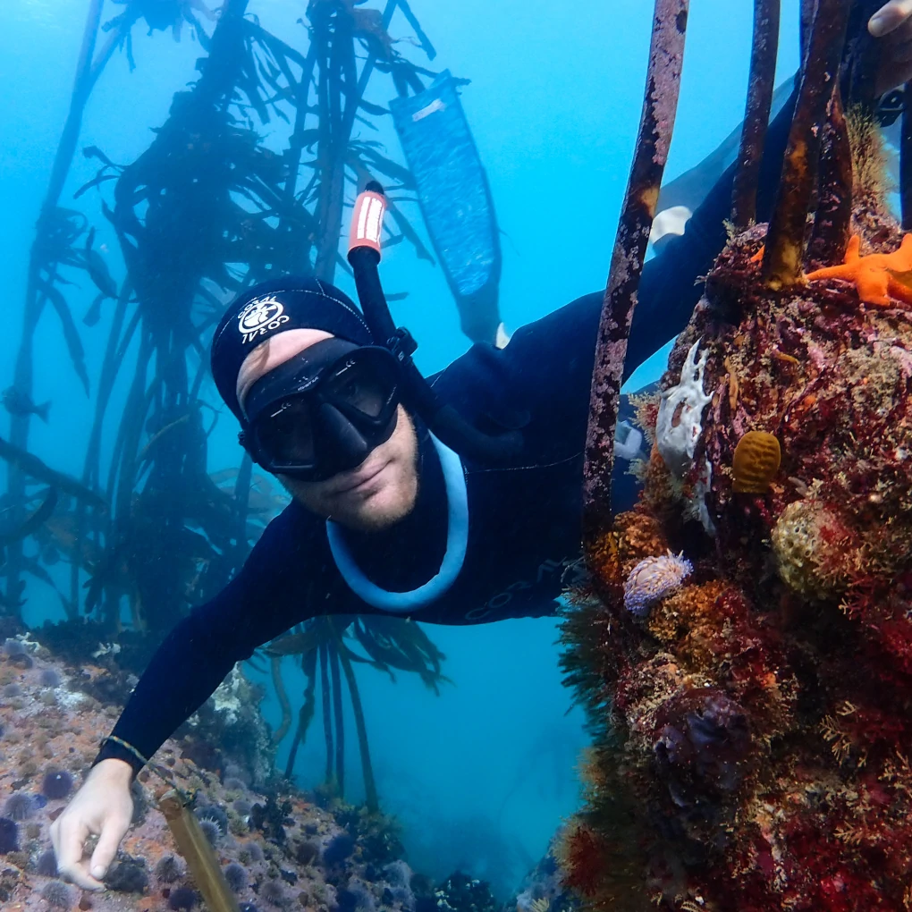 Freediving Instructor Course