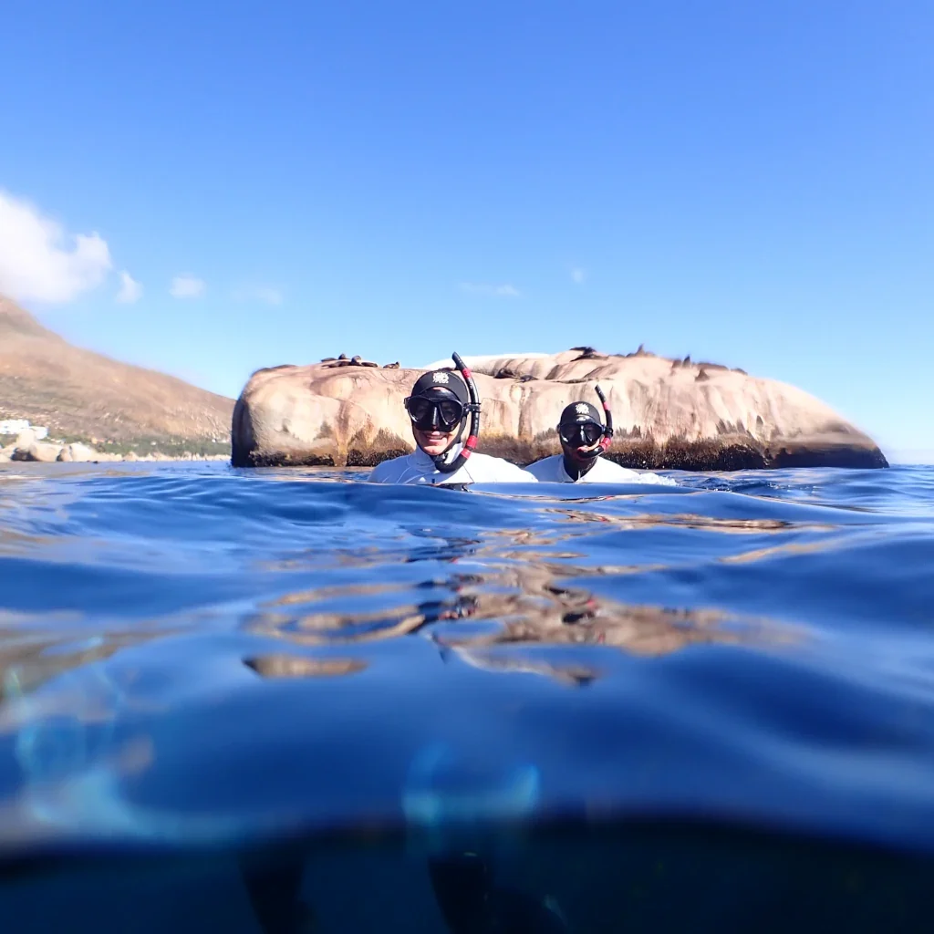Snorkeling Cape Town