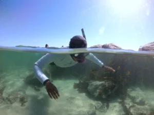 Kelp Forest Snorkeling