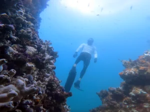 Freediving Clip of the Week 1