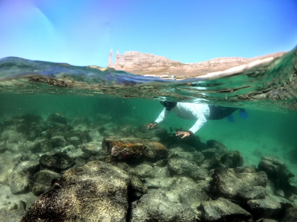 Responsible Snorkeling