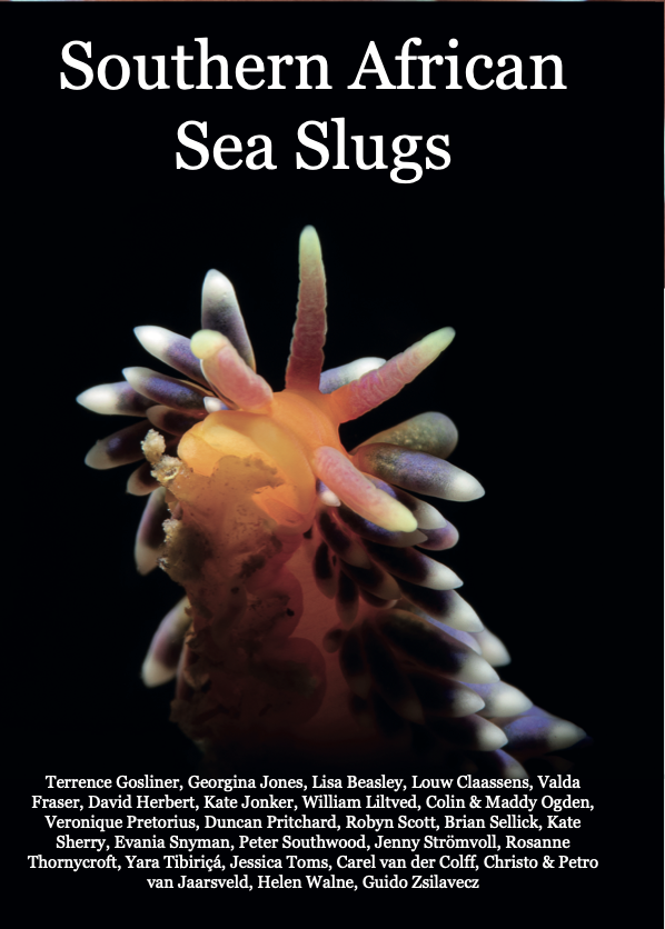 Southern African Sea Slugs