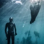 CAPE TOWN FREEDIVING